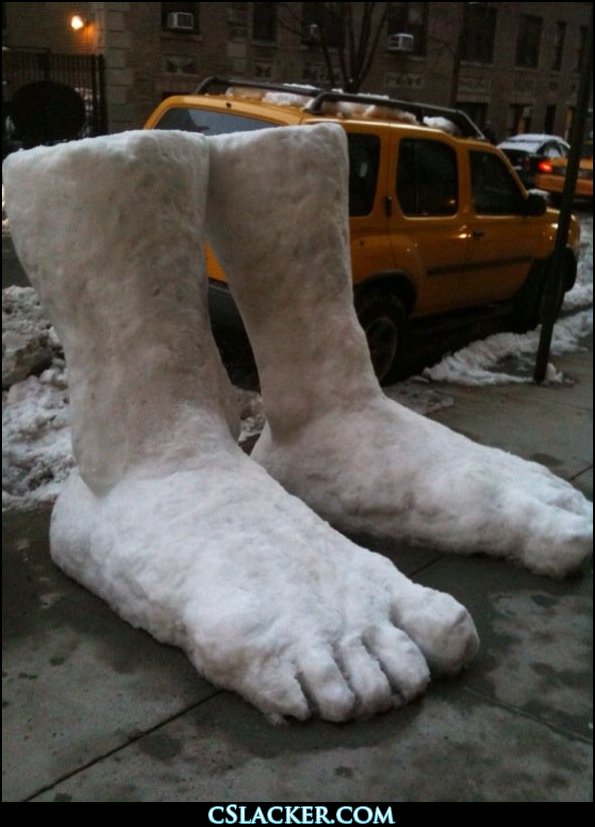 Bilder-Thread 43048,1298986310,two feet of snow