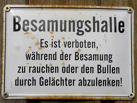 Bilder-Thread 43048,1298987993,01-ohne-worte-fotos-besamungsstelle-19900594 MBQF-1298908744templateIdrenderScaledpropertyBildheight349
