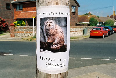 Bilder-Thread 43048,1298990242,funny lost found pet signs 18