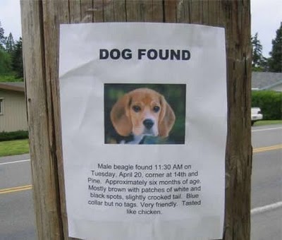 Bilder-Thread 43048,1298990282,funny lost found pet signs 19