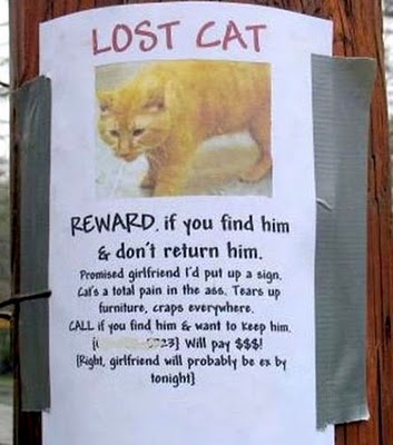 Bilder-Thread 43048,1298990321,funny lost found pet signs 20