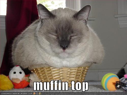 Bilder-Thread 43048,1299257602,muffin-top-725915