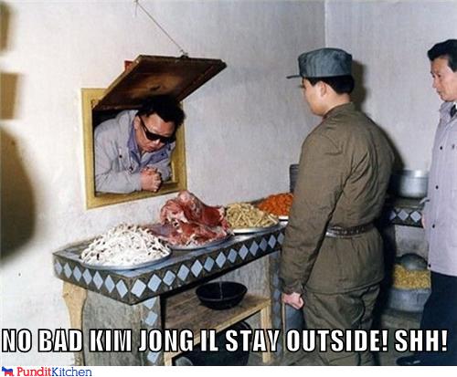 Bilder-Thread 43048,1299313109,political-pictures-kim-jong-il-is-a-cat