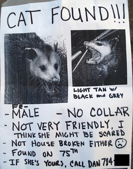 Bilder-Thread 43048,1299426750,CAT FOUND POSTER