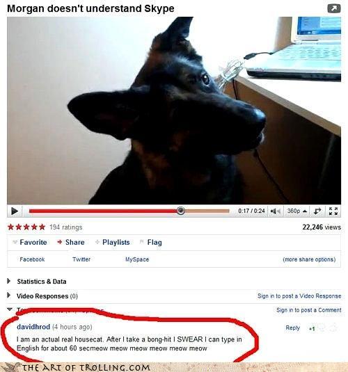 Bilder-Thread 43048,1299426937,chatroulette-trolling-next-time-i-will-hide-my-weed