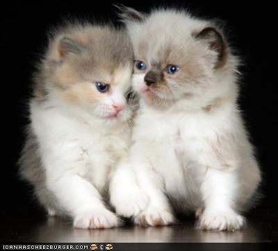 Bilder-Thread 43048,1299426947,7673a777-e9a9-4b13-b296-1f959abe78e8
