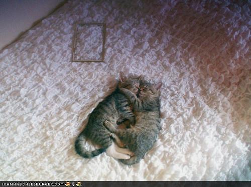 Bilder-Thread 43048,1299427083,a9529ece-811f-464e-b0e8-d2289ca89fee