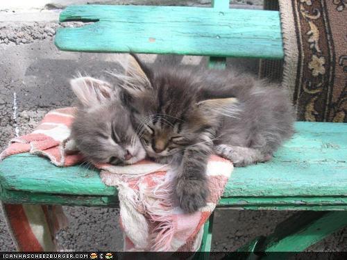 Bilder-Thread 43048,1299427326,28a15e1b-3434-4b2c-9ae5-c766b247f007