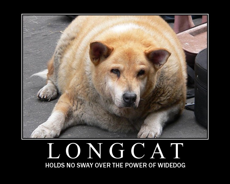 Bilder-Thread 43048,1299442201,Long-cat