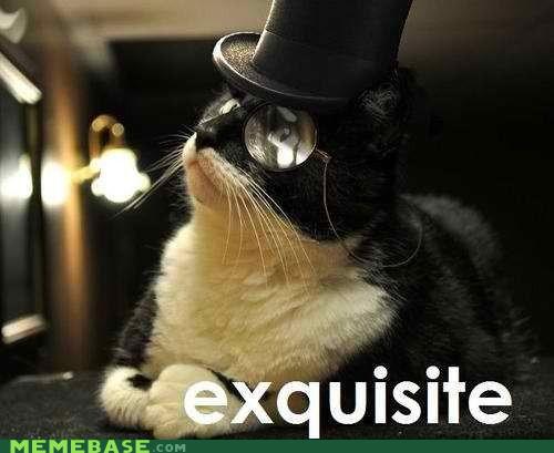 Bilder-Thread 43048,1299779995,memes-exquisite