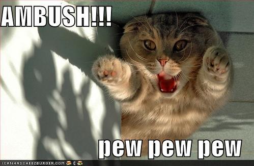 Bilder-Thread 43048,1299780009,funny-pictures-ambush-cat