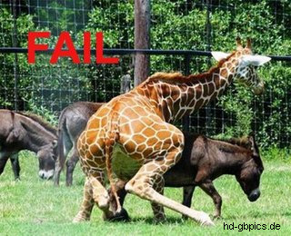 Bilder-Thread 43048,1299929901,fail-28