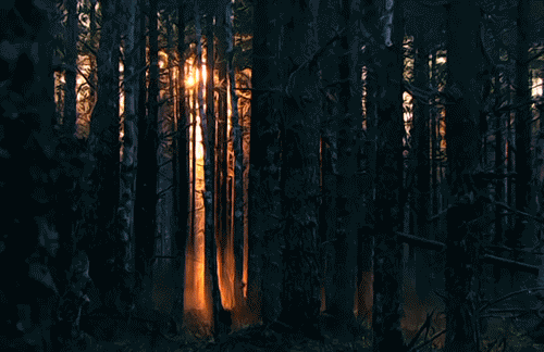 Bilder-Thread 43048,1299943784,tumblr lhn5atXFhL1qcrvjyo1 500