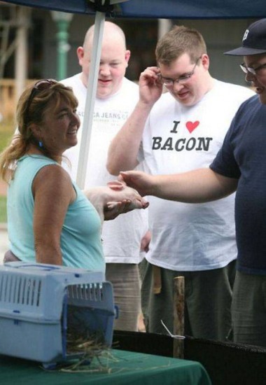 Bilder-Thread 43048,1300074182,KMDN-Daily-PicDump-No.98 21-380x550