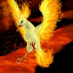 /dateien/59141,1298577522,Moltres by Mewkitty