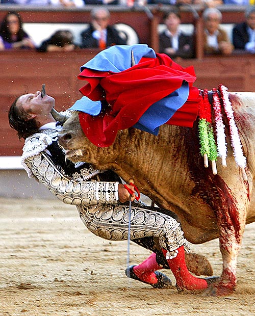 /dateien/61399,1299008961,spanischer torero stier aufgespiesst matador120100522194435