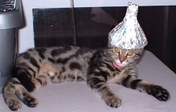 /dateien/62815,1298796954,cat-tinfoil-hat