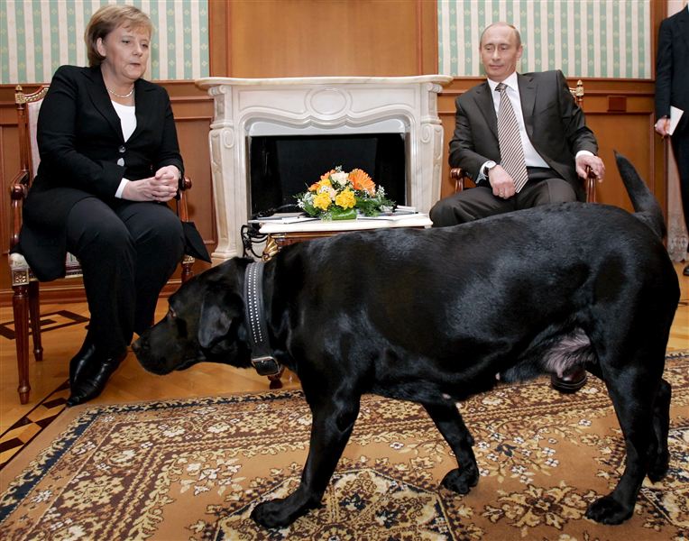 /dateien/69924,1296505292,putin-merkel-hund