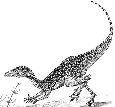 /dateien/70696,1297633329,Procompsognathus