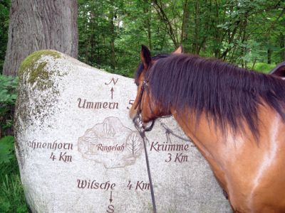 /dateien/71062,1299856515,Gifhorn-wanderreiten