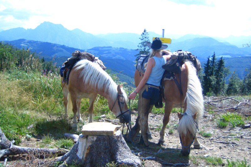 /dateien/71062,1299856515,Wanderreiten3