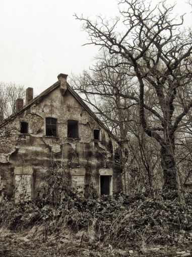 /dateien/71728,1300107530,HDR-Ruine-Geisterstadt-Versuch-HDR-Braun-Architektur-510x510