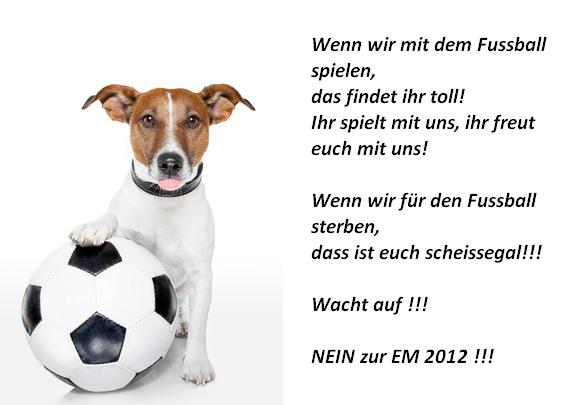 /dateien/80854,1339184774,hund ball