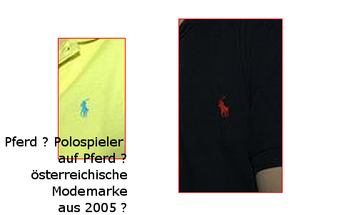 /dateien/89650,1357227585,Poloshirt Emblem