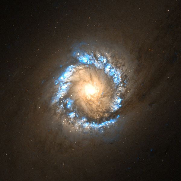 /dateien/as44232,1287939023,600px-NGC 1097 center Hubble