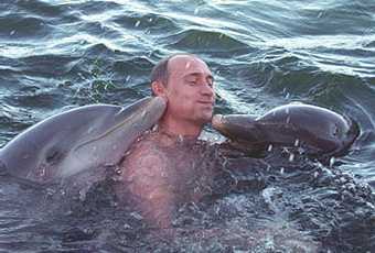 /dateien/gg28600,1154012478,putinanddolphins