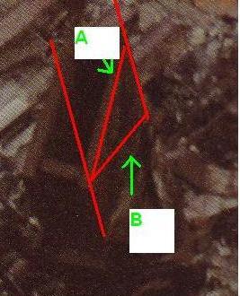 9/11: Tag der Verschwörungen? gg35068,1193676416,4idv-6
