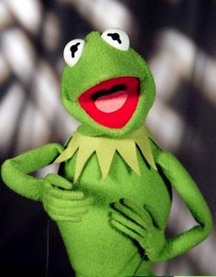 /dateien/gg48762,1252774987,kermit-thumb