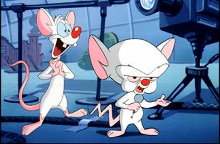/dateien/gg48762,1282246989,pinky and the brain