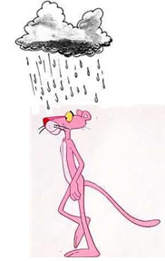 /dateien/gg54308,1244484763,pinkpanther