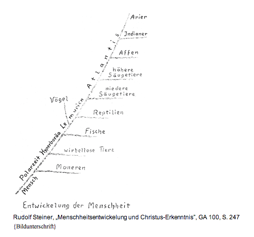 /dateien/gg60164,1265479254,Steiner Entwicklung