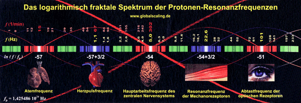 /dateien/gw3512,1263211186,protonenresonanztherapie