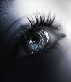 /dateien/gw43829,1209399982,In The Eye Of The Begotten II by neodecay