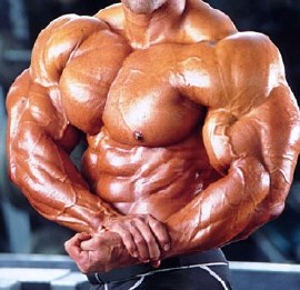 /dateien/gw53930,1256234251,bodybuilder