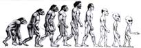 /dateien/gw54576,1245098745,trans human evolution