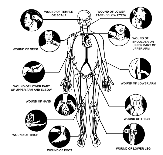 /dateien/gw58169,1259158465,pressure point chart