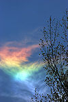 /dateien/gw60386,1276693510,100px-Circumhorizontal arc