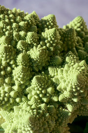 /dateien/gw60966,1267634056,180px-Romanesco