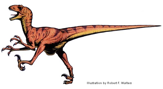 /dateien/gw62260,1272211428,walters deinonychus