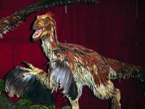 /dateien/gw62260,1272211562,Deinonychus feathered