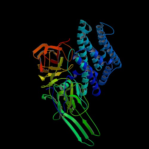 /dateien/gw66830,1288010689,Bt toxin