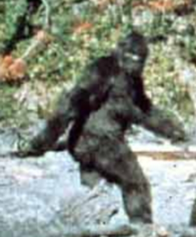 /dateien/ma54230,1267776543,patterson bigfoot