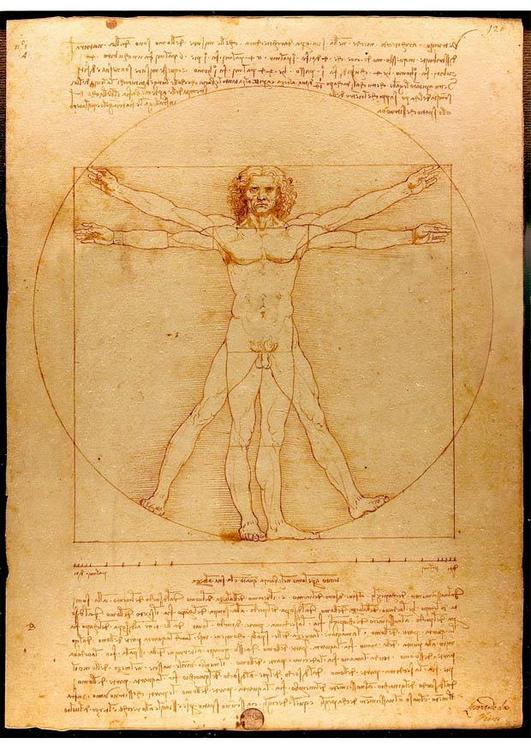 /dateien/ma61956,1272151896,de-malvorlagen-ausmalbilder-foto-da-vinci-vitruvius-mann-p8464