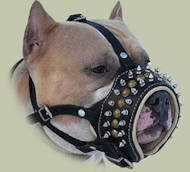 /dateien/mg33906,1266677920,pitbull-leather-spiked-padded-leather-muzzle