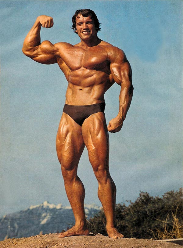 /dateien/mg36330,1260015807,arnold schwarzenegger 002