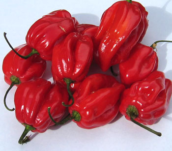 /dateien/mg42732,1251209134,habanero